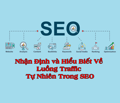 Nhận Định và Hiểu Biết Về Luồng Traffic Tự Nhiên Trong SEO
