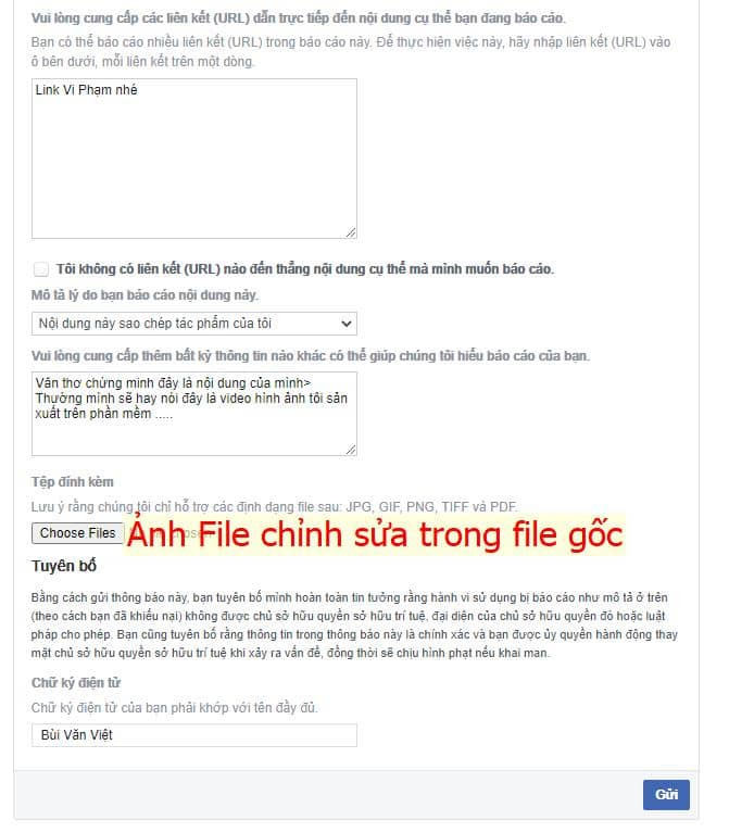 Cách Điền Form Báo Cáo Bản Quyền (Ảnh 2)