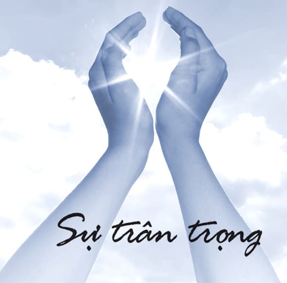 Sự Trân Trọng Hình Ảnh